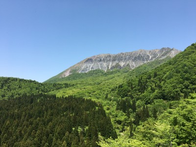 IMG_3703