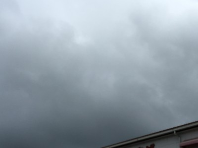 IMG_5433