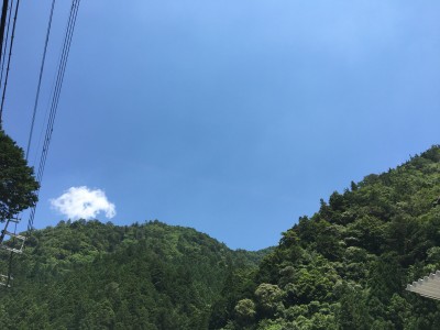 IMG_6961