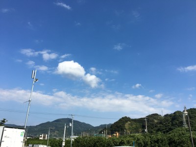 IMG_7604