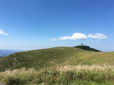 IMG_7617