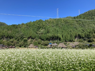 IMG_0305