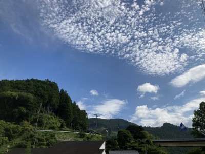 IMG_2535